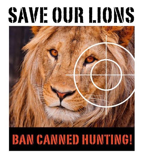 Save Our Lions -  Ban Canned Hunting